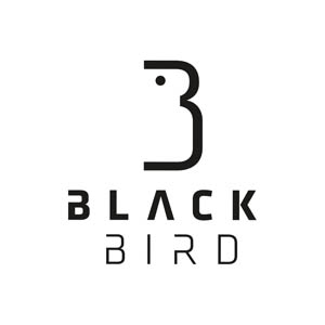 Blackbird
